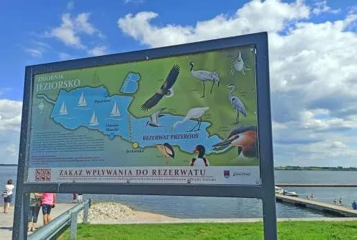 Rezerwat przyrody Jeziorsko – co warto wiedzieć przed zwiedzaniem i jak uniknąć błędów
