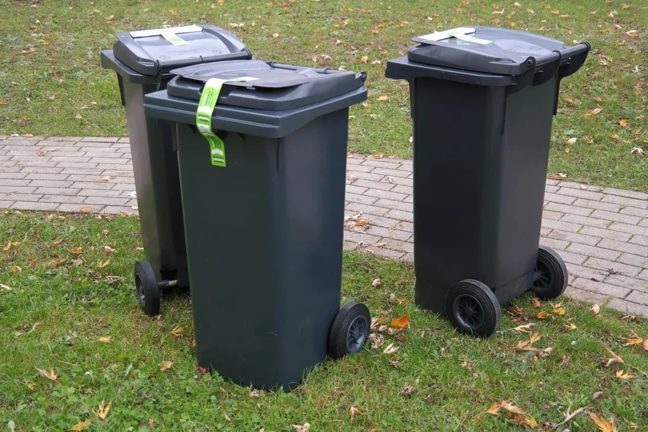 Gdzie kupić kosze na śmieci? Kompletny przegląd sklepów i cen 2025