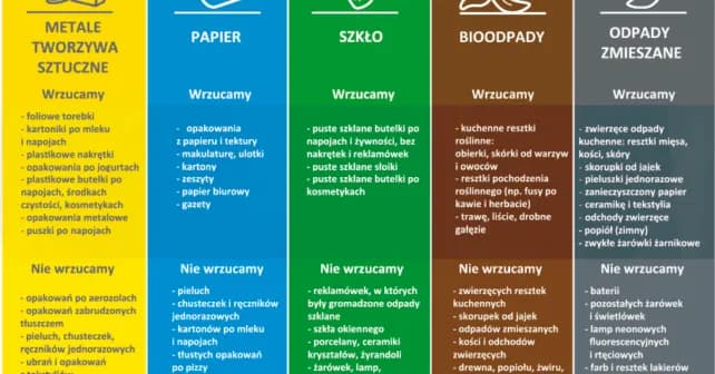 Gdzie wyrzucić śmieci: kompletny poradnik segregacji odpadów komunalnych