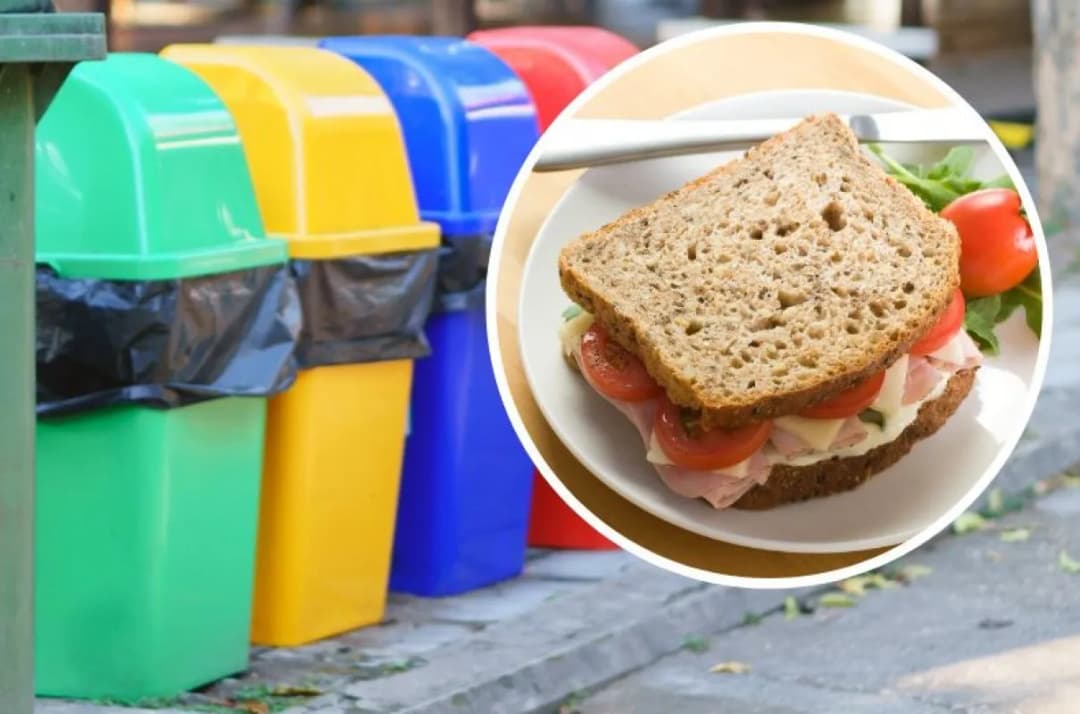 Gdzie wyrzucić stary chleb: 5 sposobów na mądre pozbycie się