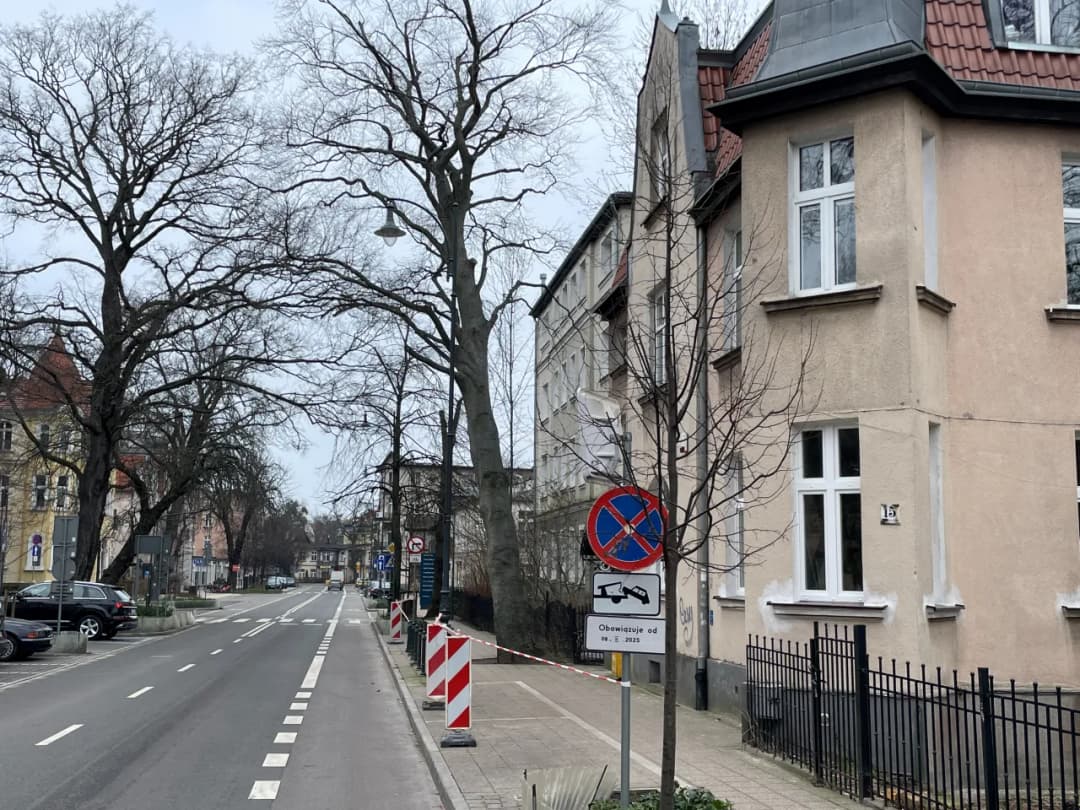 Prośba o wycięcie drzewa zagrażającego bezpieczeństwu – procedury