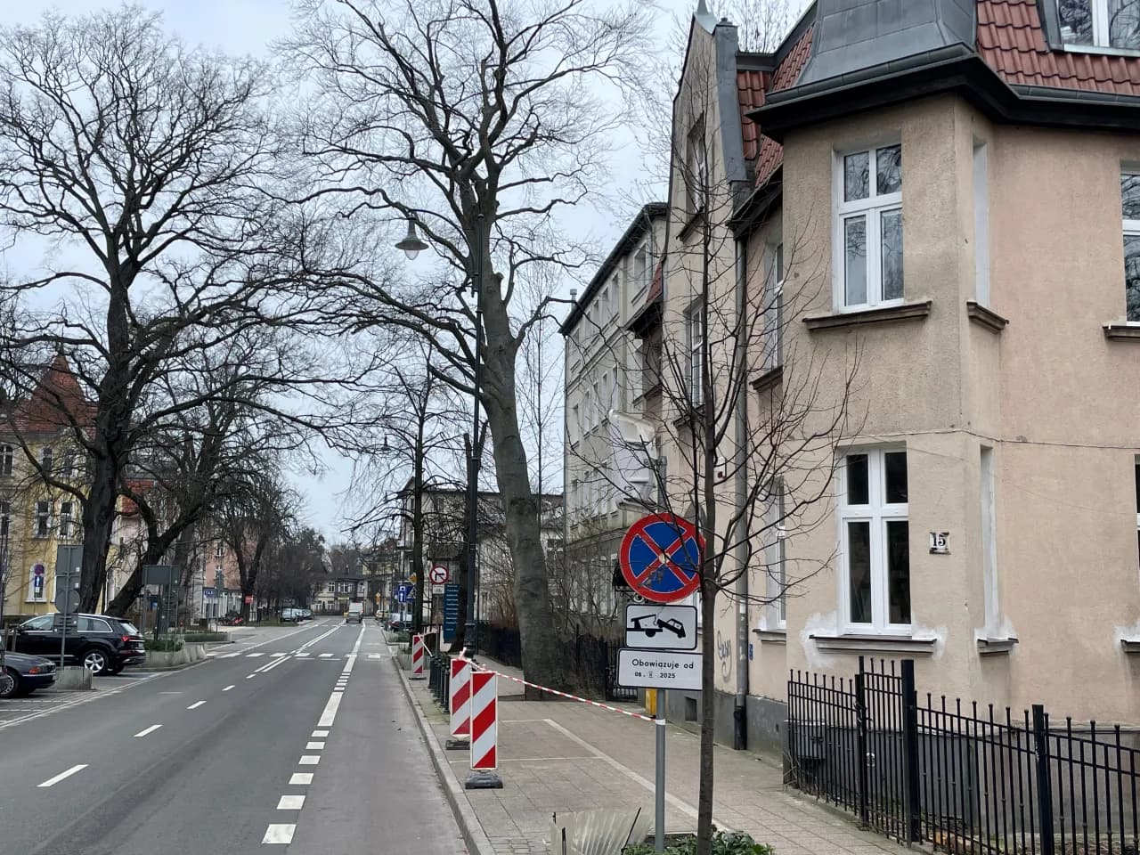 Prośba o wycięcie drzewa zagrażającego bezpieczeństwu – procedury