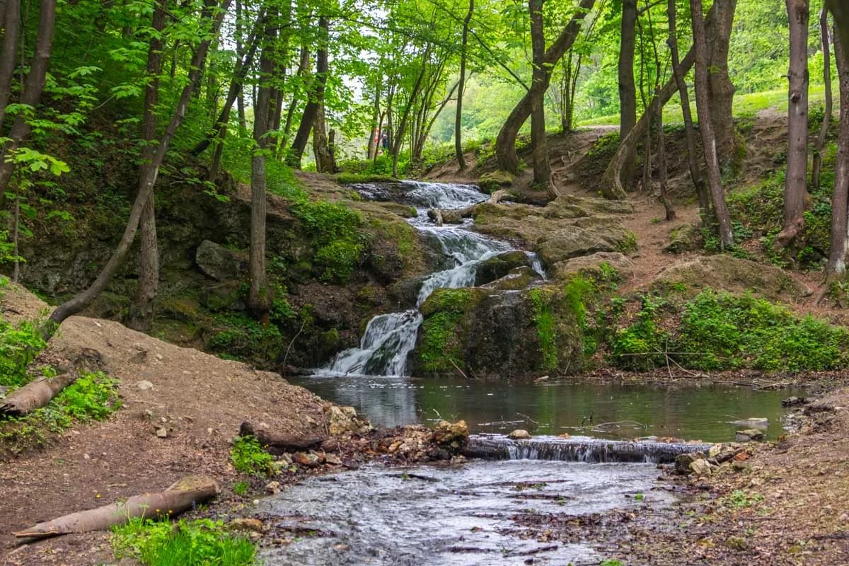 Rezerwaty przyrody w Małopolsce: gdzie warto pojechać i co zobaczyć?