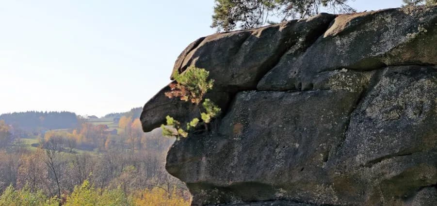 Rezerwat przyrody Skamieniałe Miasto – historia, szlaki i ciekawostki przyrodnicze