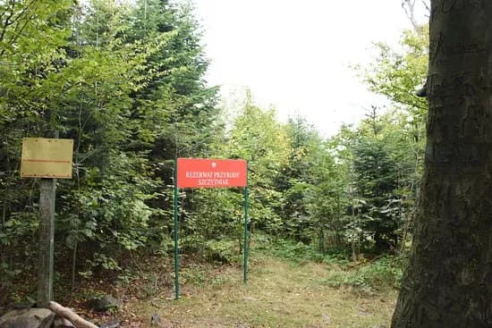 Rezerwat Przyrody Szczytniak – co warto wiedzieć przed zwiedzaniem i jak uniknąć błędów