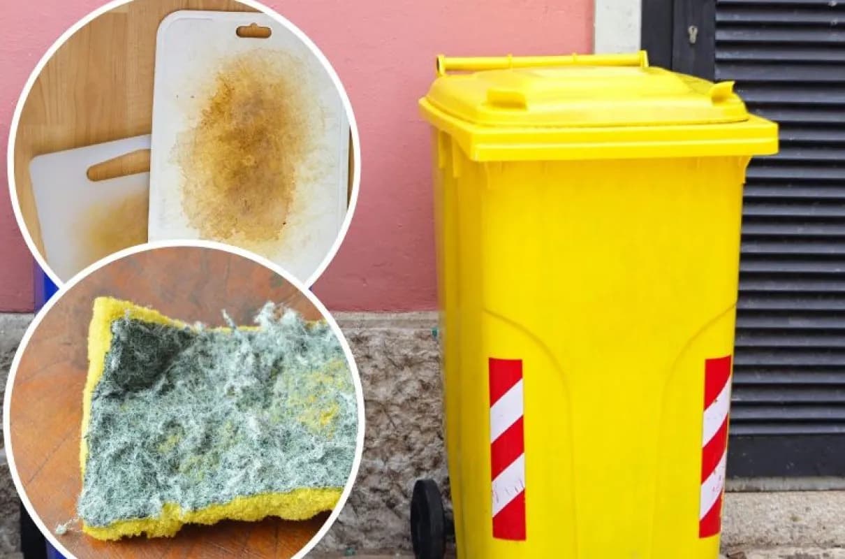 Gdzie wyrzucić gąbki? Prawidłowa segregacja różnych typów