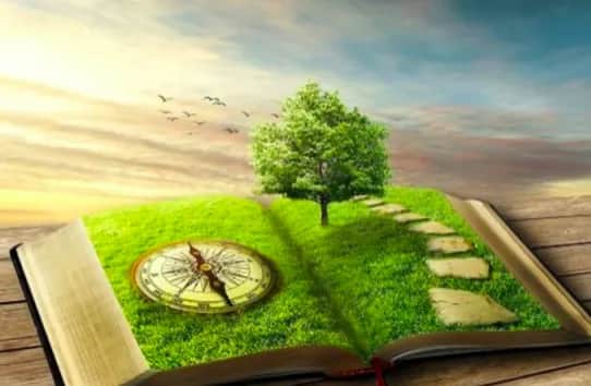 Ekologiczna wartość lojalności: jak cyfrowe platformy nagradzają odpowiedzialność?