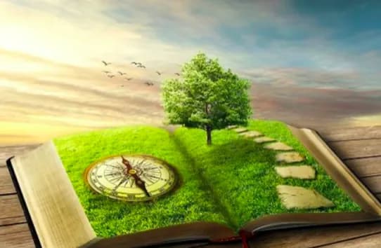 Ekologiczna wartość lojalności: jak cyfrowe platformy nagradzają odpowiedzialność?