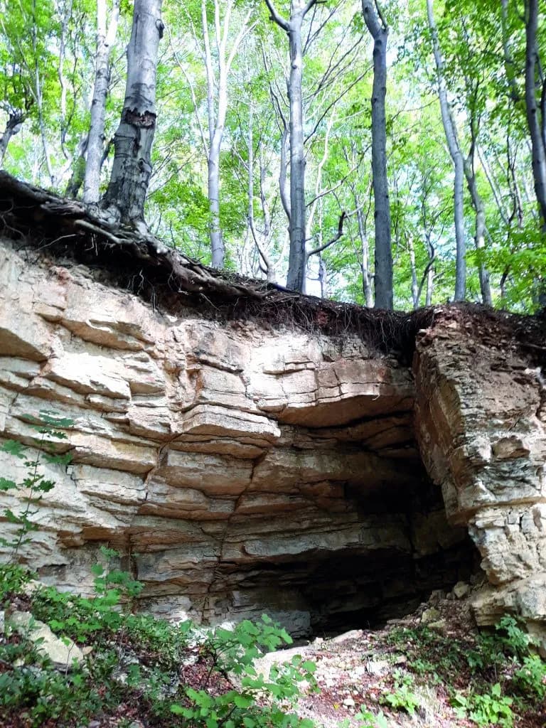 Rezerwat Przyrody Bukowica – co warto wiedzieć przed wizytą i jak uniknąć błędów
