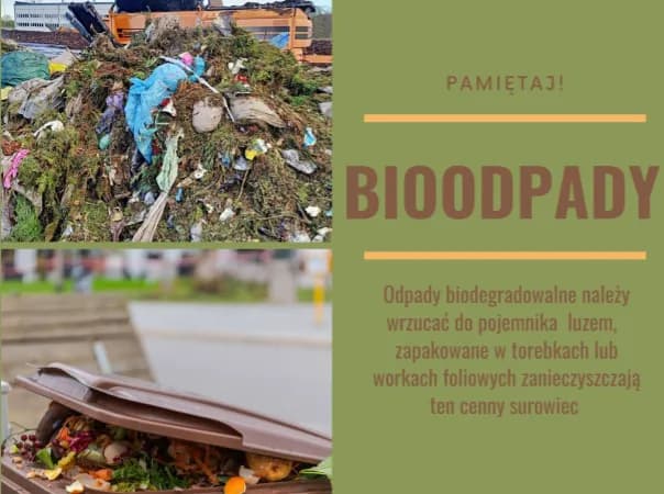 Ekosystem gdzie wyrzucić: Kompleksowy system odpadów Wrocławia