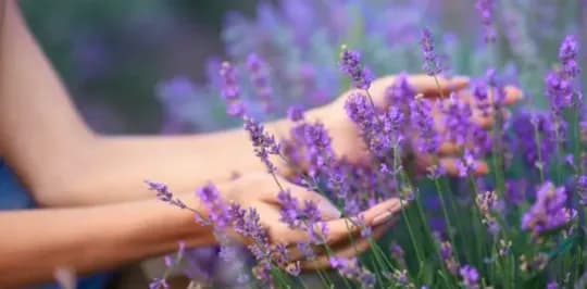 Sezonowe wyzwania i eko-inspiracje: jak świętować odpowiedzialnie przez cały rok