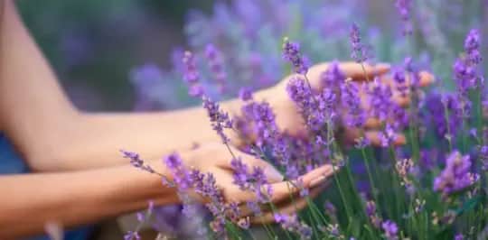 Sezonowe wyzwania i eko-inspiracje: jak świętować odpowiedzialnie przez cały rok