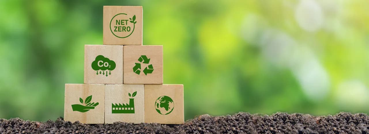 Recykling organiczny: jak przetwarzać odpady i chronić środowisko w prosty sposób