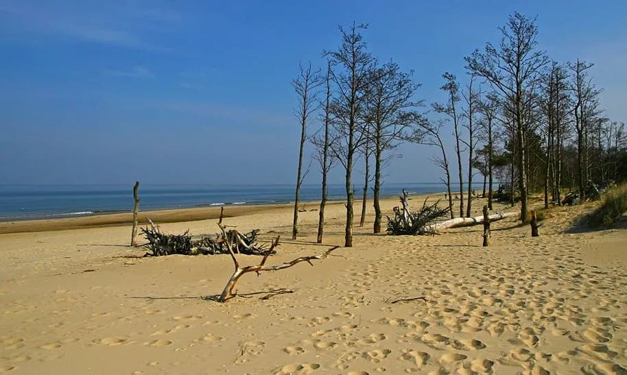 Rezerwaty przyrody w Gdańsku: co warto zobaczyć i jak uniknąć błędów podczas zwiedzania