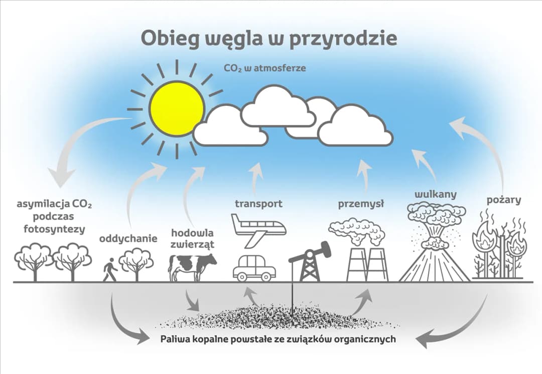 Czy wulkany emitują więcej CO2 niż człowiek? Wpływ wulkanów na klimat i emisje dwutlenku węgla