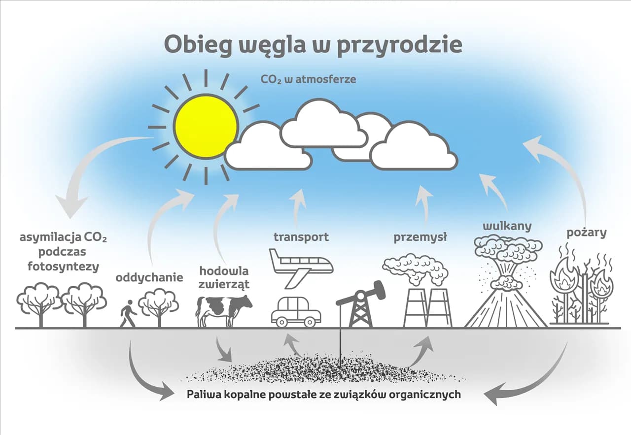 Czy wulkany emitują więcej CO2 niż człowiek? Wpływ wulkanów na klimat i emisje dwutlenku węgla