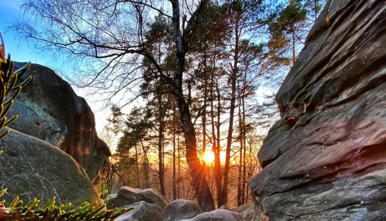 Rezerwat Przyrody Prządki – co warto wiedzieć przed zwiedzaniem i jak uniknąć błędów