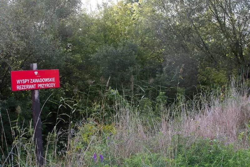 Rezerwat Przyrody Wyspy Zawadowskie – co warto wiedzieć przed zwiedzaniem?