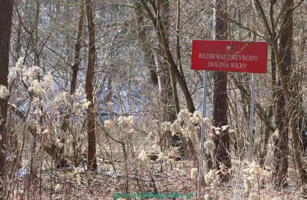Rezerwat Przyrody Dolina Wkry – co warto wiedzieć przed wizytą i jak uniknąć błędów