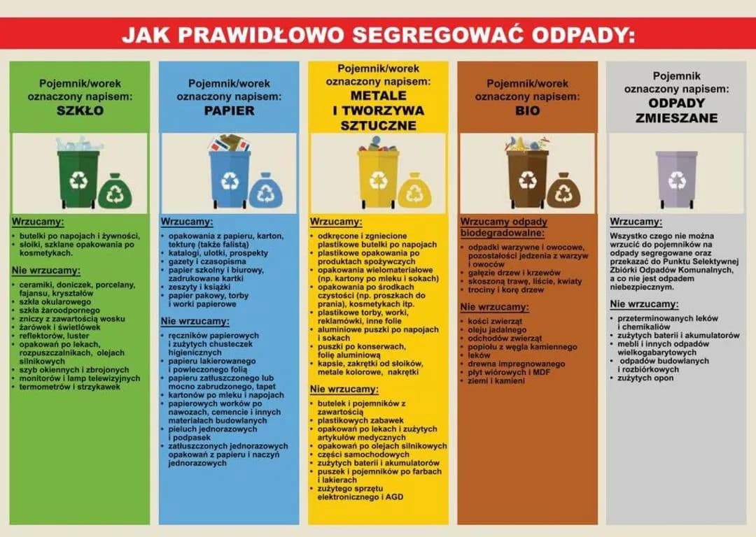 Co zrobić ze śmieci w domu: kompletny poradnik segregacji odpadów